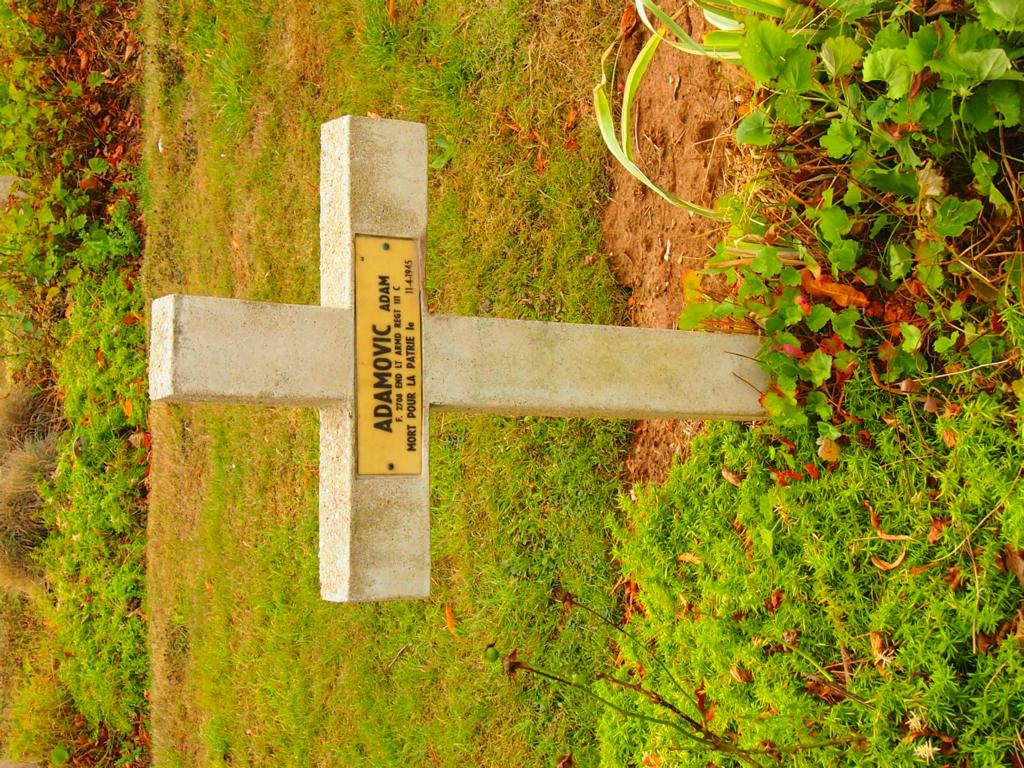 K1024_P1010609